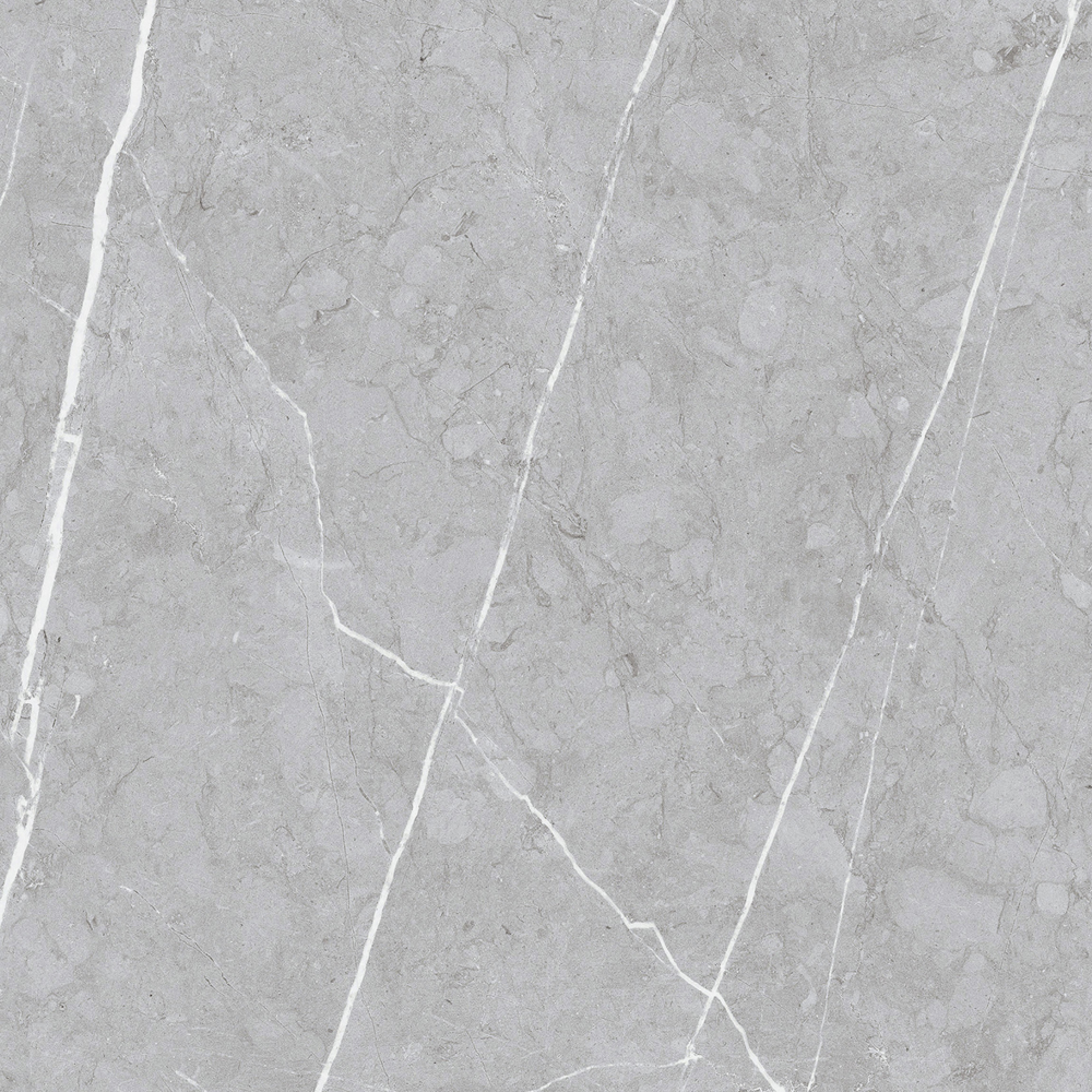 Miave P: Glazed Polished Porcelain Tile (60.0x60.0)cm, Grey