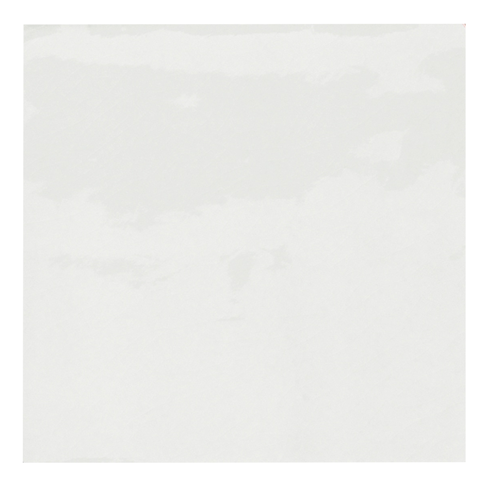 Provenza Blanco : Matt Granito Tile 60.0x60.0