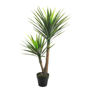Yucca Decorative Potted Flower: 120cm