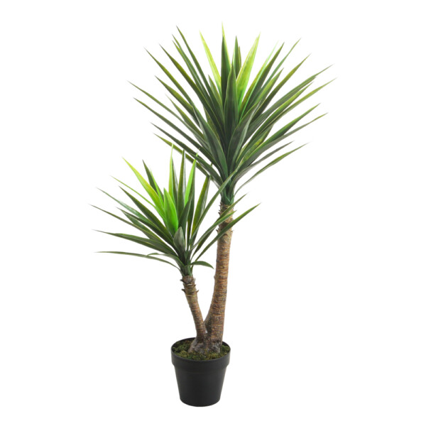 Yucca Decorative Potted Flower: 120cm