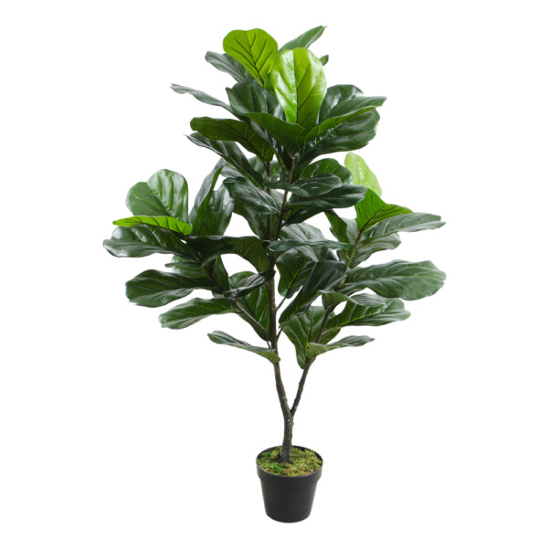 Fiddle Leaf Decorative Potted Flower: 120cm