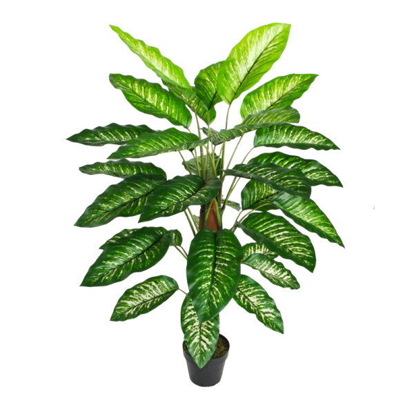 Dieffenbachia Decorative Potted Flower: 120cm