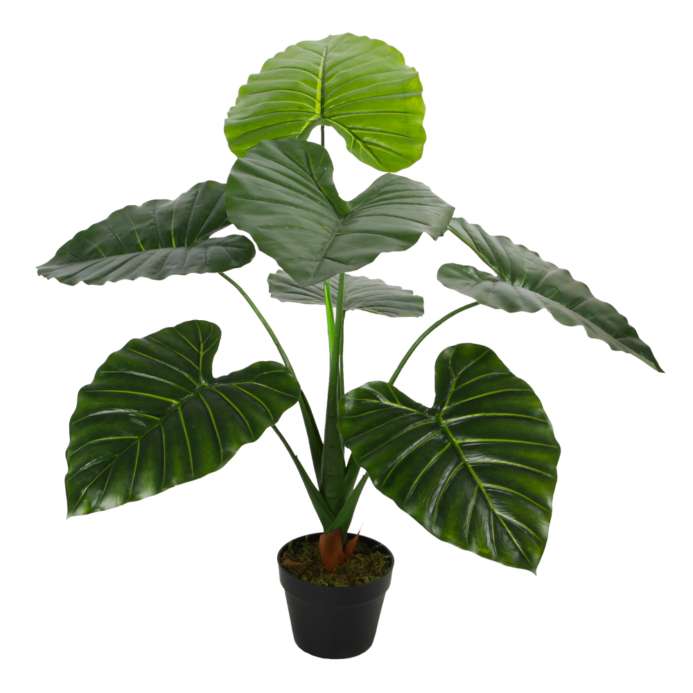 Taro Decorative Potted Flower: 90cm - T&C