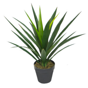 Yucca Decorative Potted Flower: 60cm