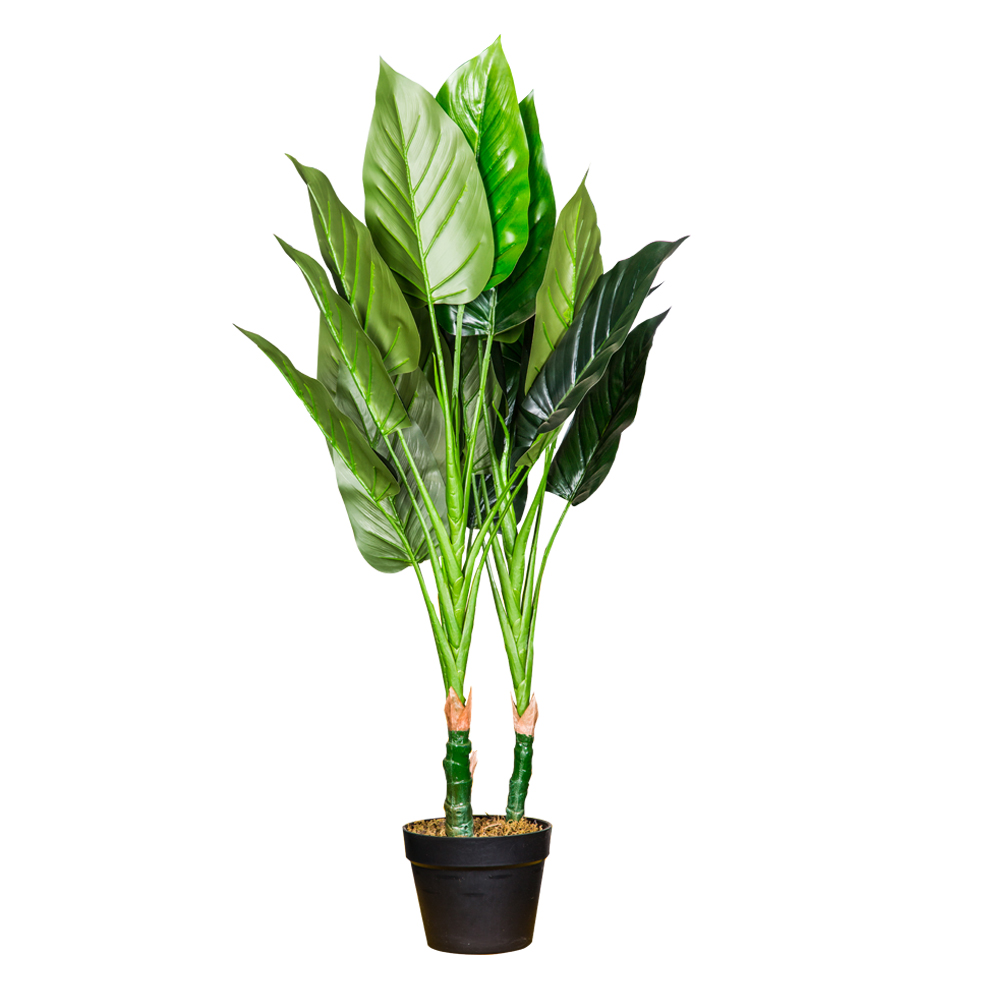 Philodendron Decorative Potted Flower: 100cm