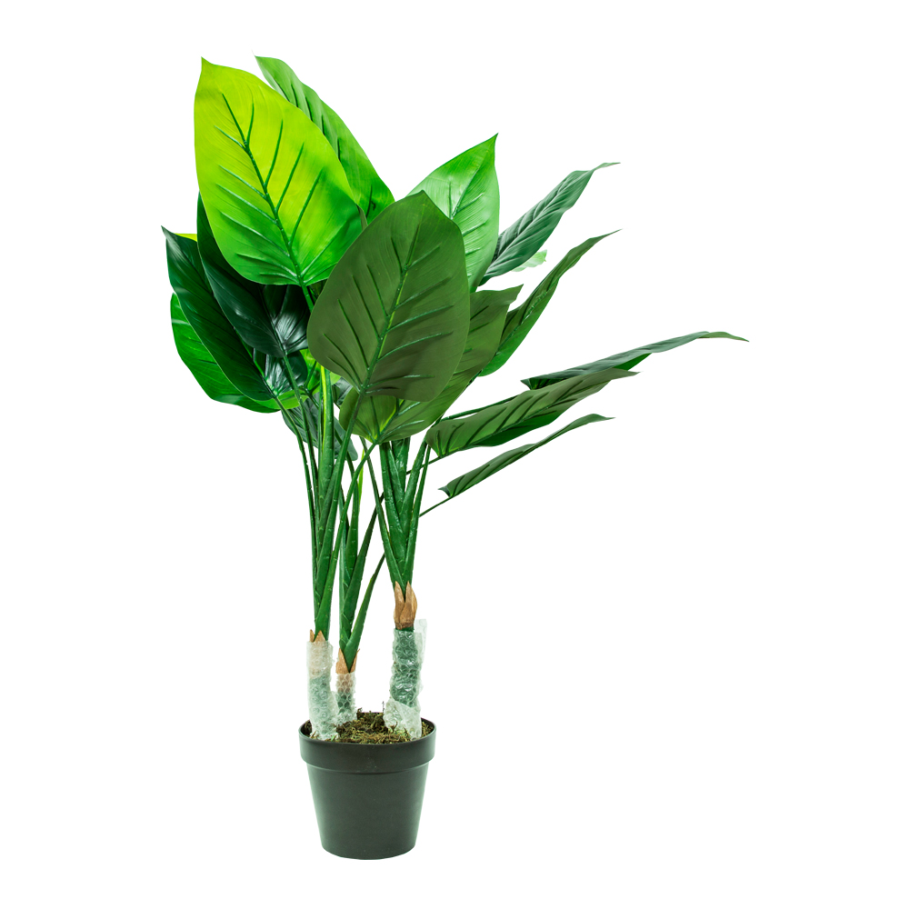 Philodendron Decorative Potted Flower: 100cm