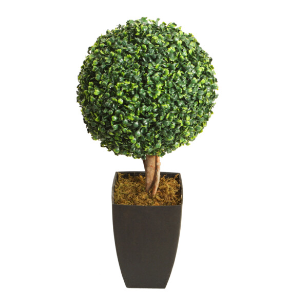 Boxwood Decorative Potted Flower: 60cm