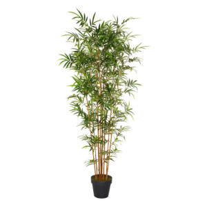Bamboo Decorative Potted Flower: 230cm