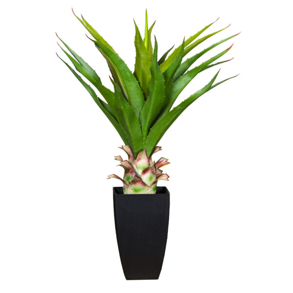 AGAVE AMERICANA Decorative Potted Flower: 70cm