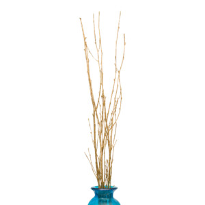 Winston: Decoration: Brich Branch With Glitter Ref:6164NGG