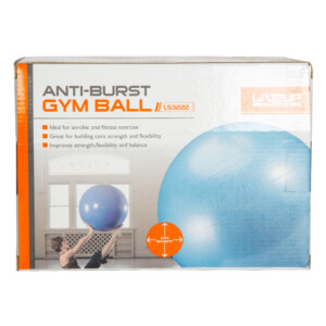 Anti-Burst Ball + HandPump, 6In; 75cm/1100gms, Grey