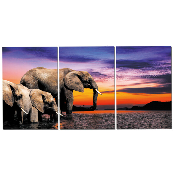 Printed Painting Set + Frame 3pc: 120x240cm Ref. JDN-5020ABC