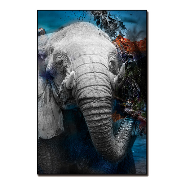 Printed Painting + Frame: (120x80)cm