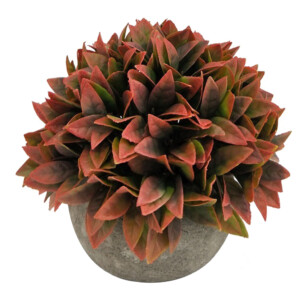 Decorative Plant: (7/13x7/12)cm, Coral