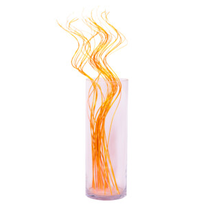 Domus: Clear Glass Vase: 14cm #KC078