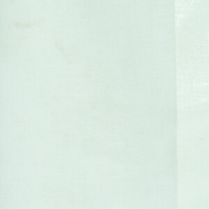 Tokyo Collection: Sheer Fabric 280cm