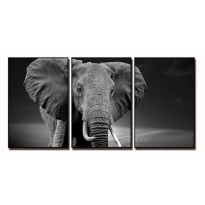 Elephant Art Printed Painting Set, 3pcs: (90x60)cm