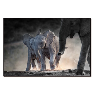 African Elephant Wall Art Printed Painting: (80x120)cm