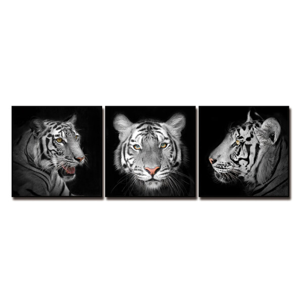 Tiger Printed Painting Set, 3pc: (50x50)cm