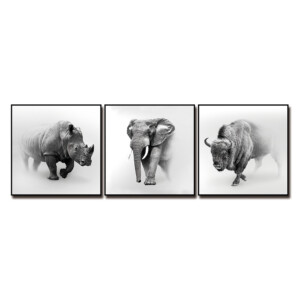 Rhino/Elephant/Bison Printed Painting Set, 3pc: (50x50)cm