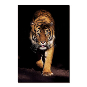 Tiger Printed Painting: (90x60)cm