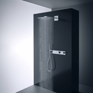 Axor Starck : Hand Shower With Rubit: 2-Jet, hrome Plated
