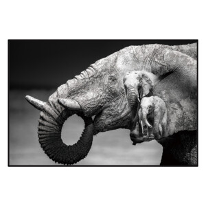 Elephant Canvas Painting: (80x120)cm, Black/White