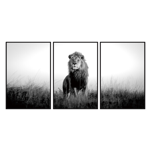 Lion Canvas Painting Set: 3Pcs, 120x80cm