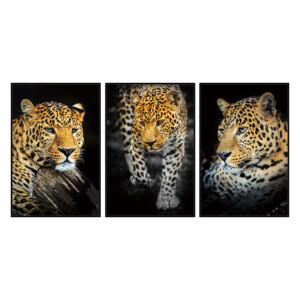 Leopard Canvas Painting Set: 3Pcs, (120x80)cm