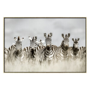 Zebras Canvas Painting: (80x120)cm