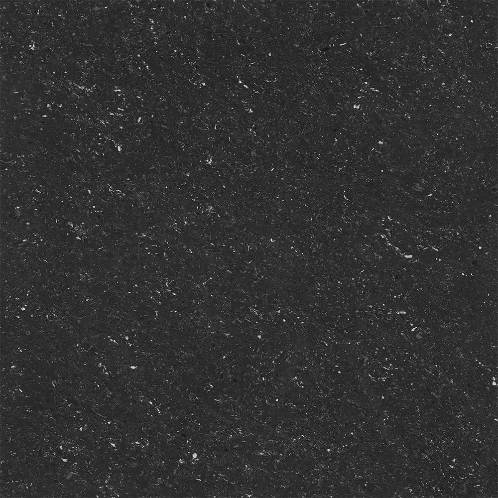 Natural Black: Polished Granito Tile; (60.0x60.0)cm, Black