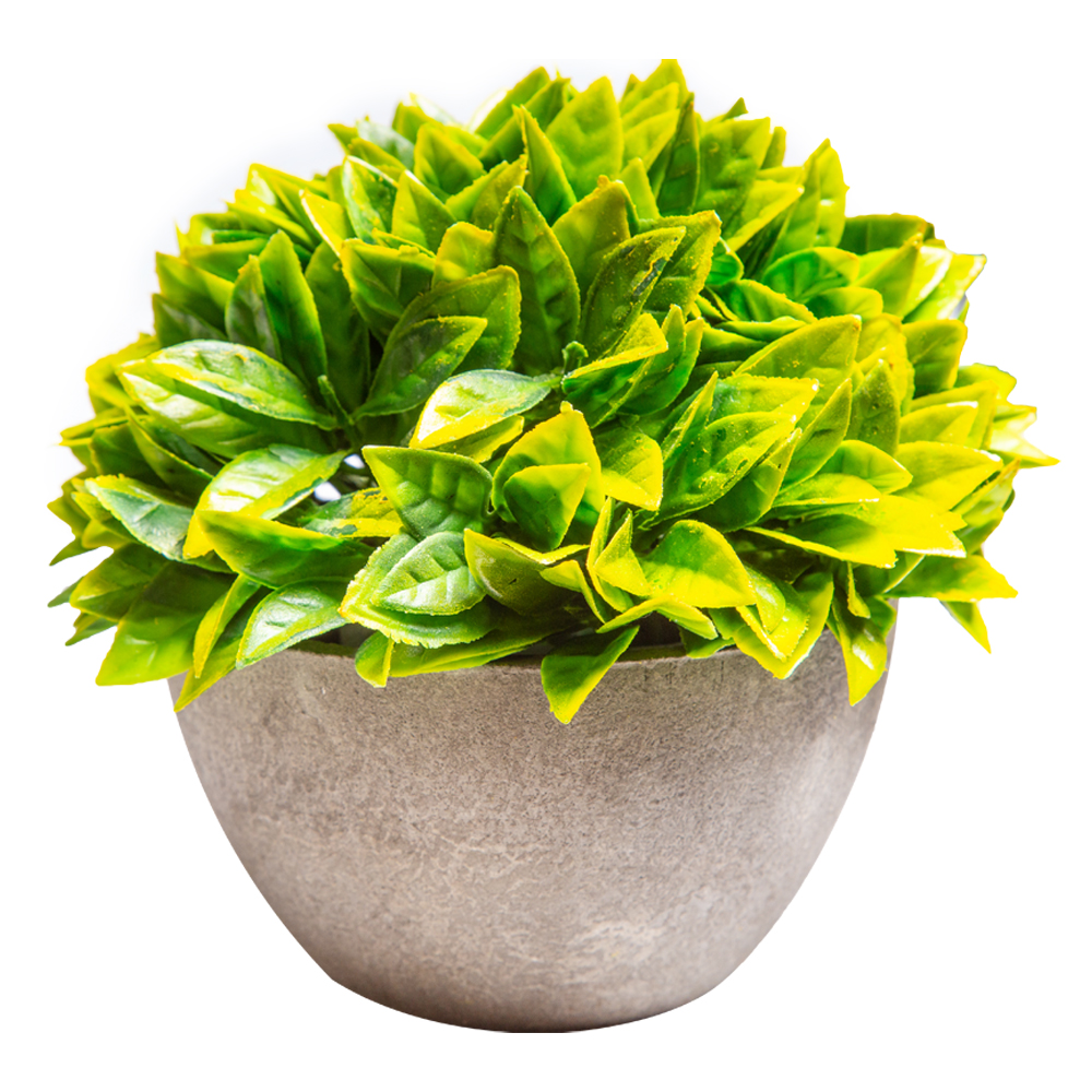 Decorative Plant: (7/13x7/12)cm, Green