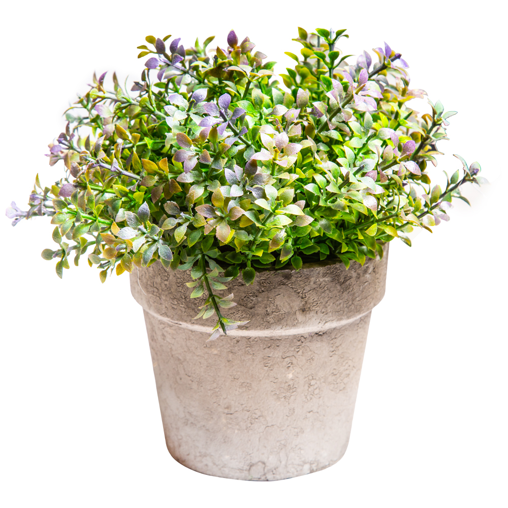 Decorative Plant: (10/15x10/18)cm, Purple