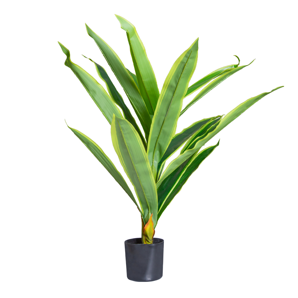 Decorative Plant: 80cm, Green
