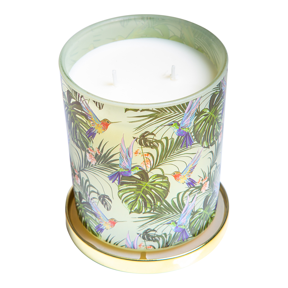 Scented Jar Candle With Gold Lid: 11oz, Coconut Lime Verbena