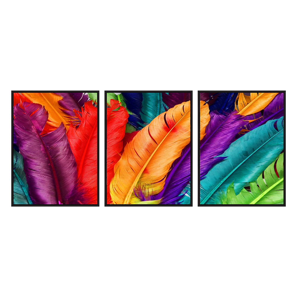 Colorful Feathers Printed Painting Set, 3pcs+ Frame; (60x80)cm