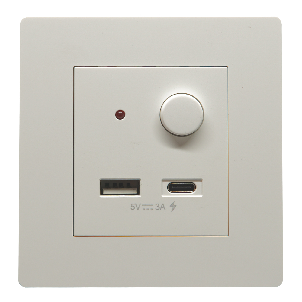 Domus: One Gang Double USB A & C Fast charger Socket: 5V, 3.1A, White