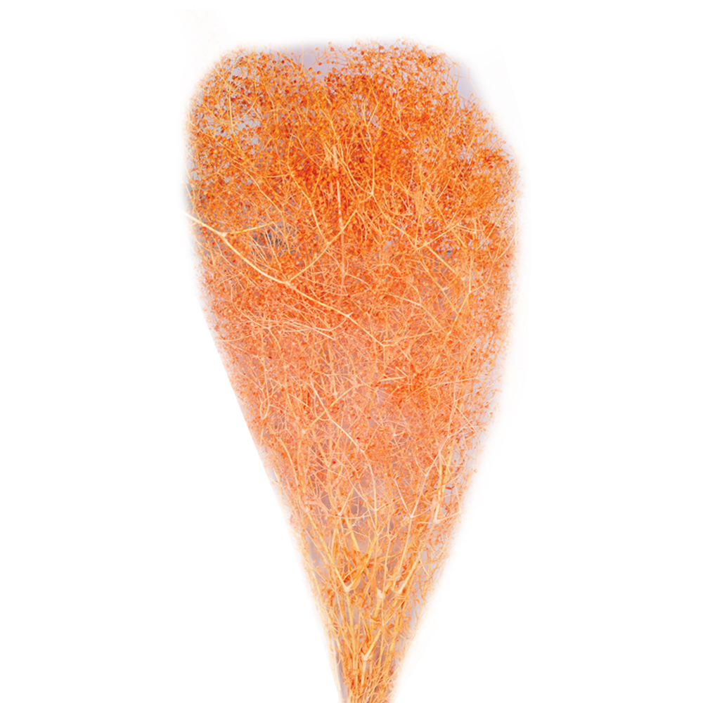 Decoration: Gypsophila Mini Dried; 50gms, Orange