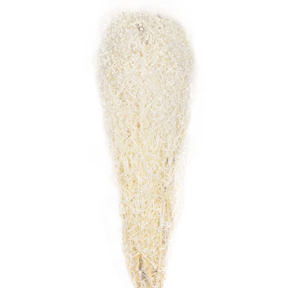 Decoration: Gypsophila Mini Dried; 50gms, White