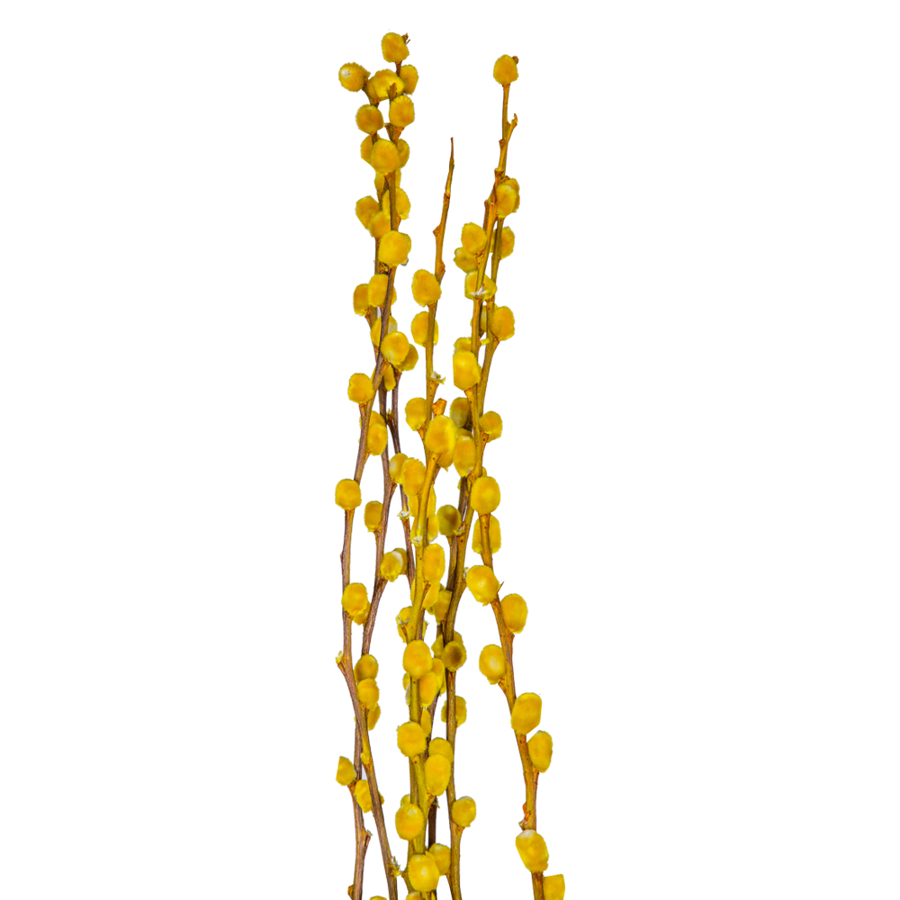 Decoration: Pussy Willow; 110-120cm, 8pcs, Light Yellow