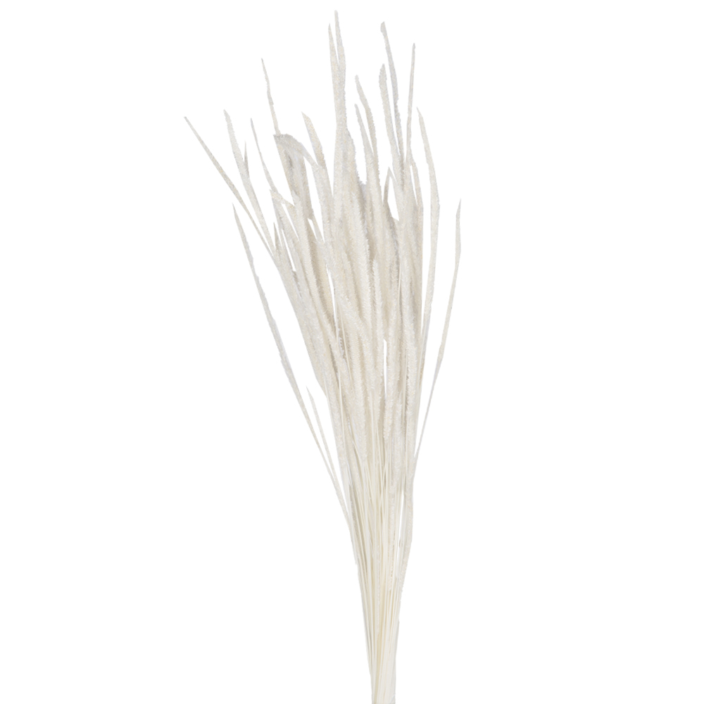 Decoration: Natural Grass; 70-75cm, 50gms, White