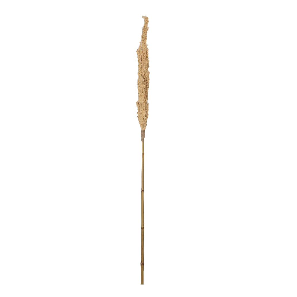 Decoration: Padi Stick, Natural