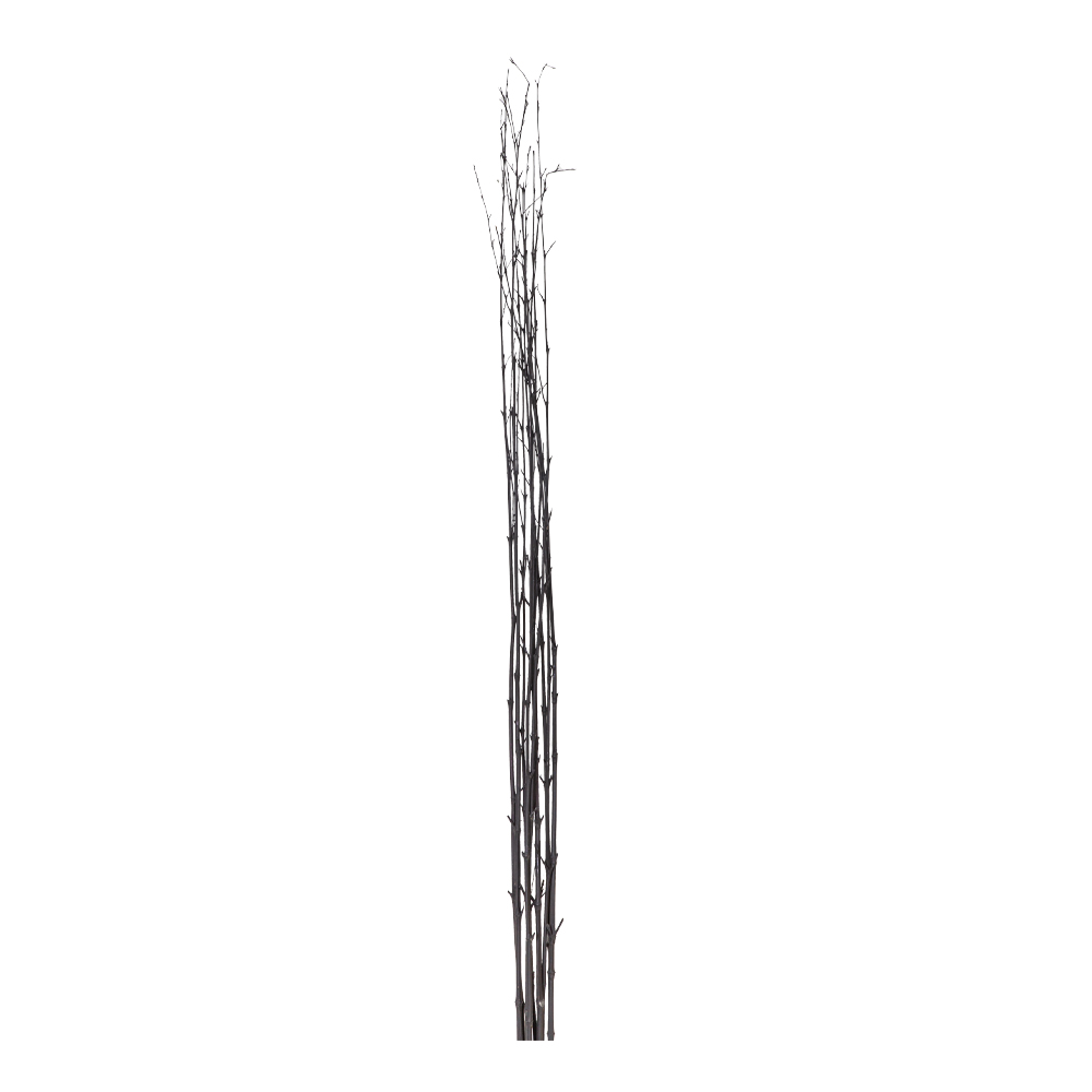 Decorative Bamboo Stick Set; 10pcs, Black