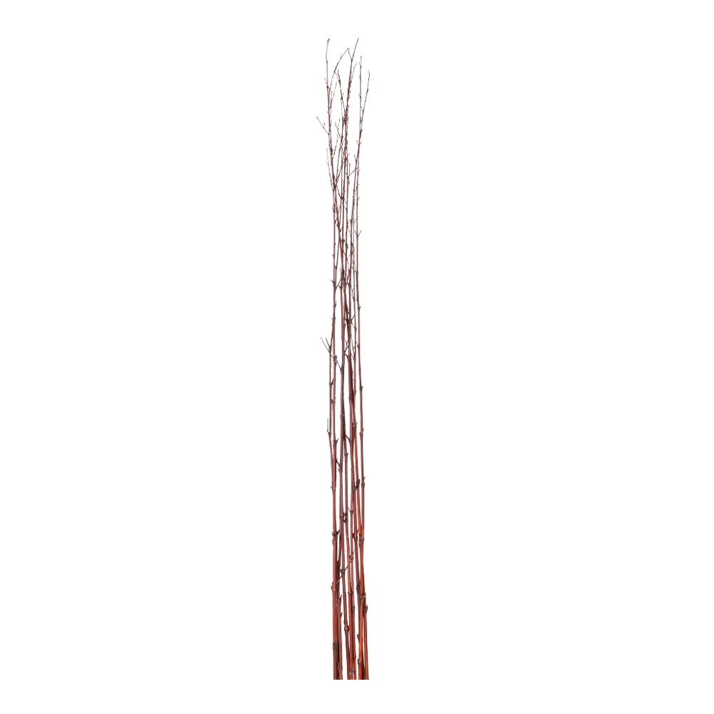 Decorative Bamboo Stick Set; 10pcs, Brown