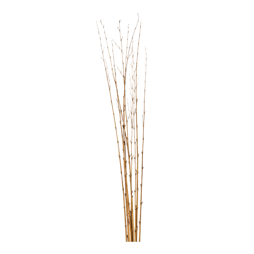 Decorative Bamboo Stick Set; 10pcs, Natural