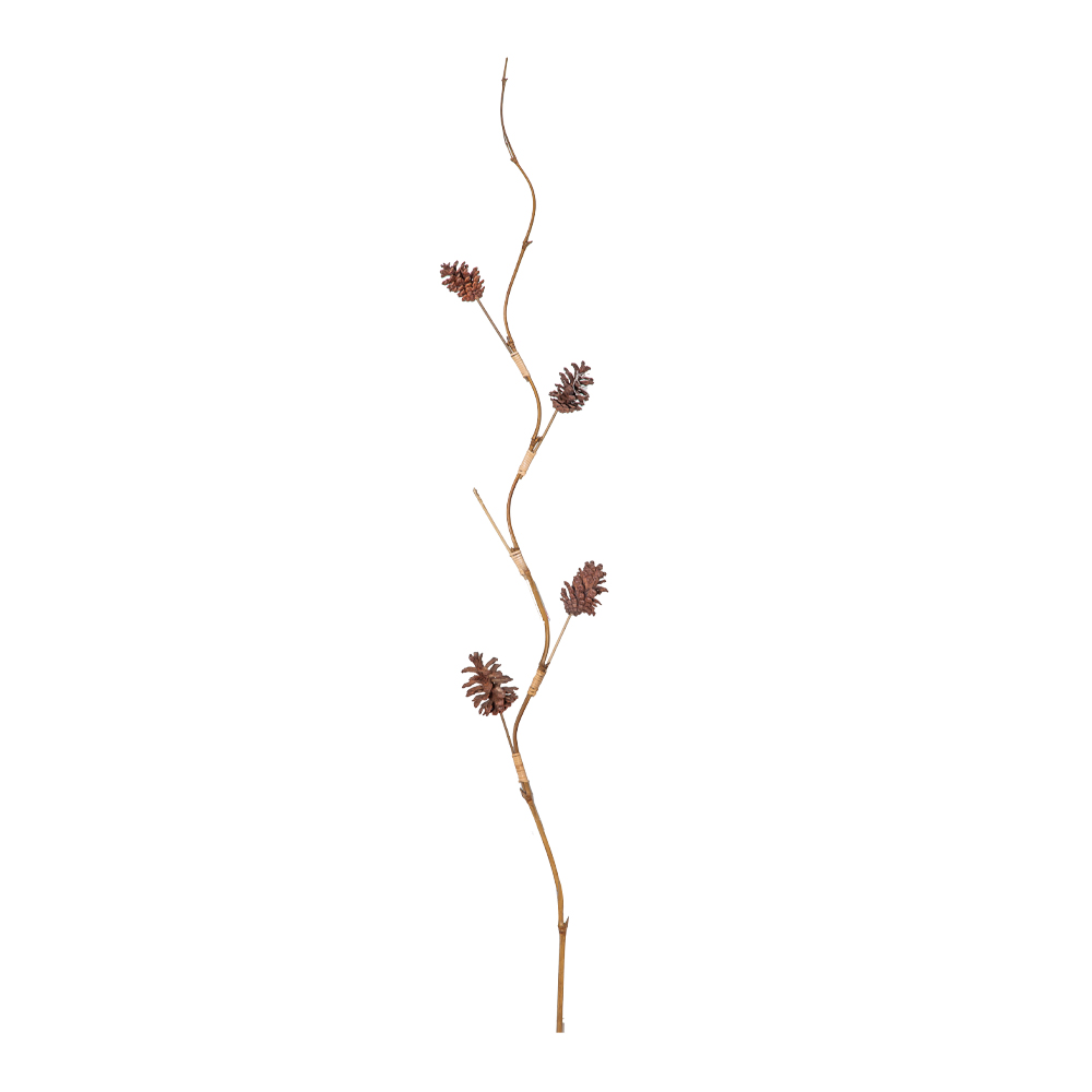 Bamboo Stick Dry Pine Flowers, Natural
