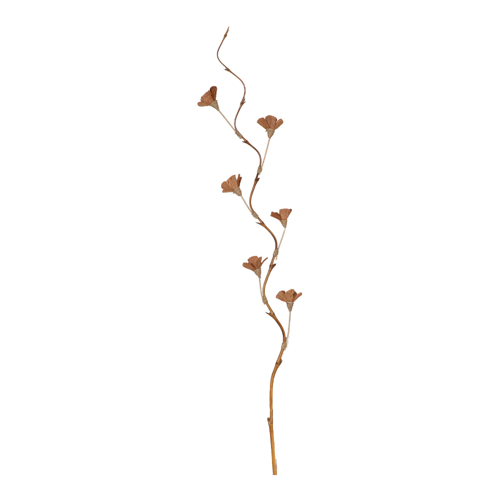 Bamboo Stick Dry Flower Orchid, Natural