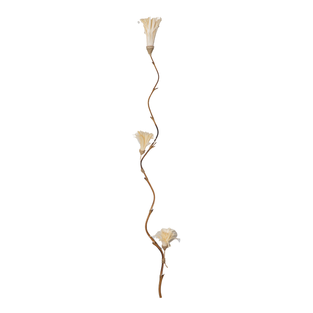 Bamboo Stick Dry Flower Serut Mini, White