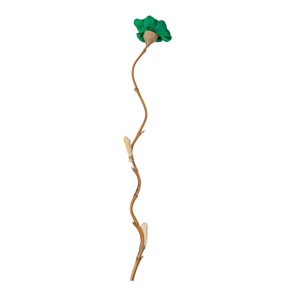 Bamboo Stick Dry Flower Lotus Design, Green