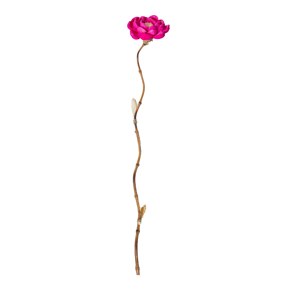 Bamboo Stick Dry Flower Lotus Design, Pink
